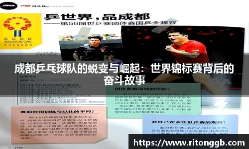 SG胜游